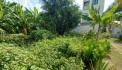 Bán đất Vườn Lài P. An Phú Đông Q. 12, Đ. 6m, giảm giá còn 6.x tỷ